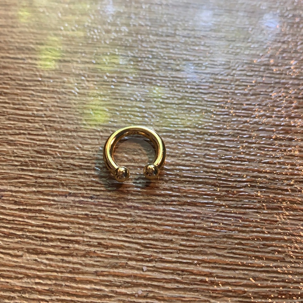 Gold ear hook